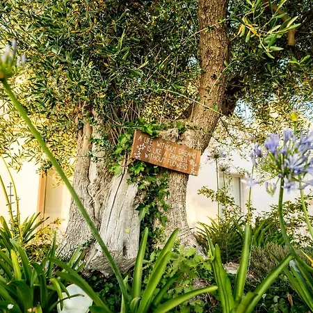 Villa Trullo Lea - *